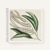 Botanisch schetsboek notitieboek 18e eeuwse kunst (Voorkant)