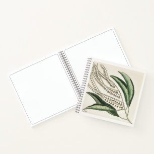 Botanisch schetsboek notitieboek 18e eeuwse kunst