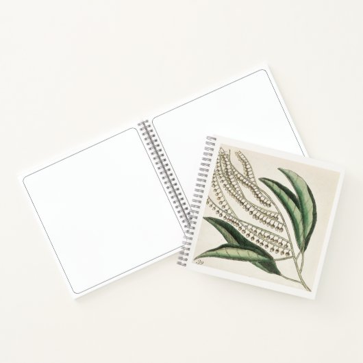 Botanisch schetsboek notitieboek 18e eeuwse kunst (Binnen)