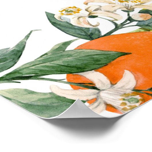 Botanisch Sinaasappel en Lemon Zomer Verjaardagsfe Poster (Hoek)