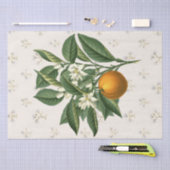  Botanisch Sinaasappel Fruitbloesem Beige Tissuepapier (Craft)