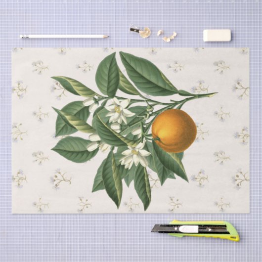 Botanisch Sinaasappel Fruitbloesem Beige Tissuepapier (Craft)