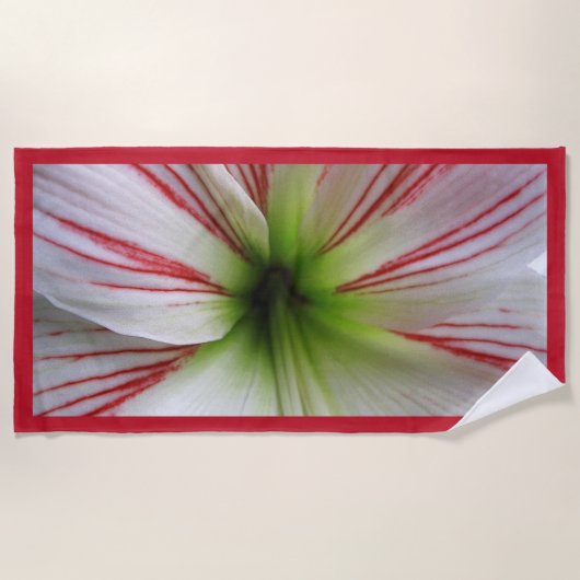 Botanisch Sluiten Foto Amaryllis Flower Strandlaken (Voorkant)
