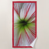 Botanisch Sluiten Foto Amaryllis Flower Strandlaken (Voorkant)