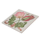  Botanisch Tegeltje (Zijkant)