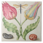  Botanisch  Tegeltje (Voorkant)