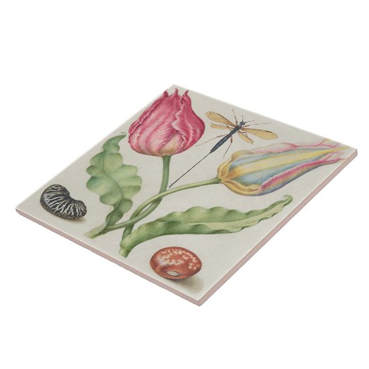  Botanisch  Tegeltje (Zijkant)