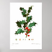 BOTANISCH VEELZIJDIG POSTER (Voorkant)