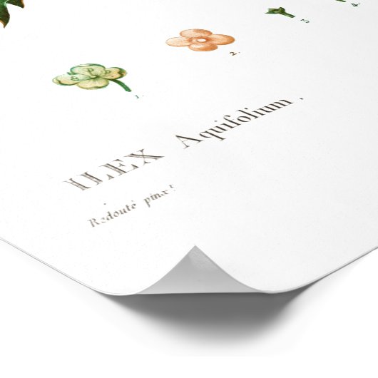  BOTANISCH VEELZIJDIG POSTER (Hoek)