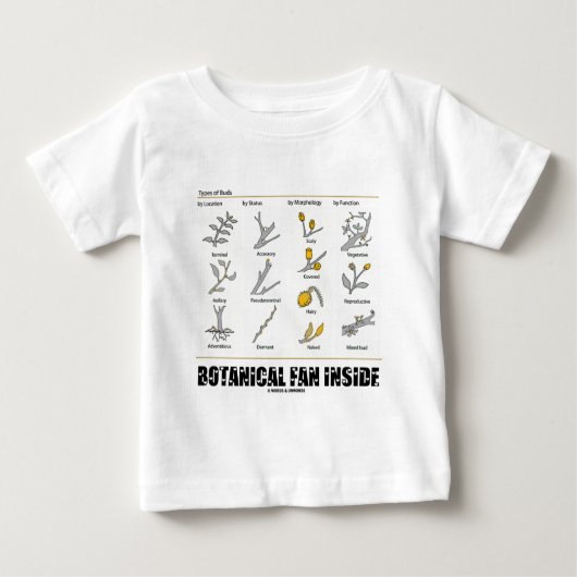 Botanisch ventilator binnenin (soorten buisjes) (Voorkant)