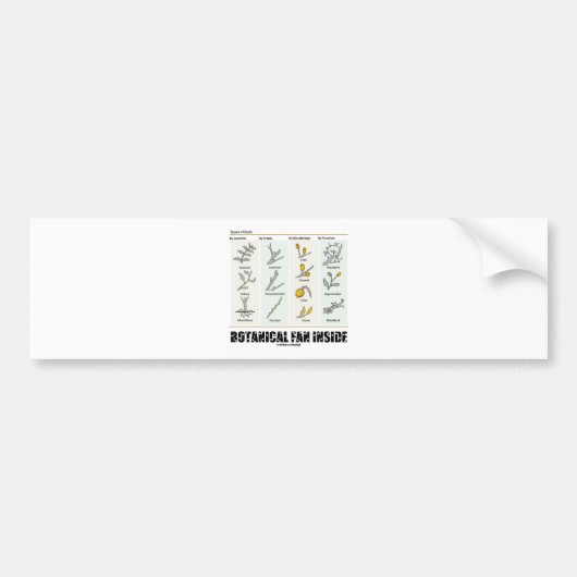 Botanisch ventilator binnenin (soorten buisjes) bumpersticker (Voorkant)