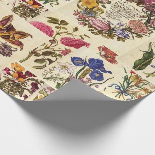  botanisch weefsel voor ontbinding cadeaupapier (Hoek)