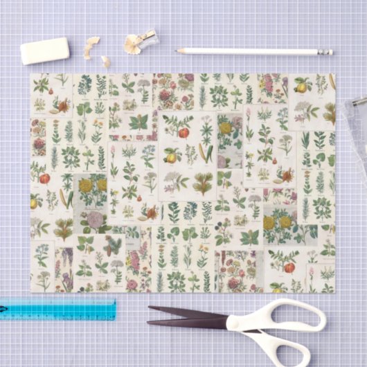  botanisch weefsel voor ontbinding tissuepapier (Craft)