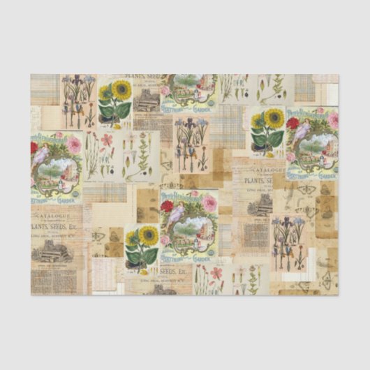  botanisch weefsel voor ontbinding tissuepapier (Voorkant)