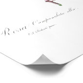  BOTANISCH WITTE ROSE ILLUSTRATIE POSTER (Hoek)