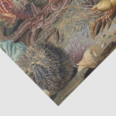 Botanisch Zee Life Coral Fish Decoupage Tissuepapier (Detail)