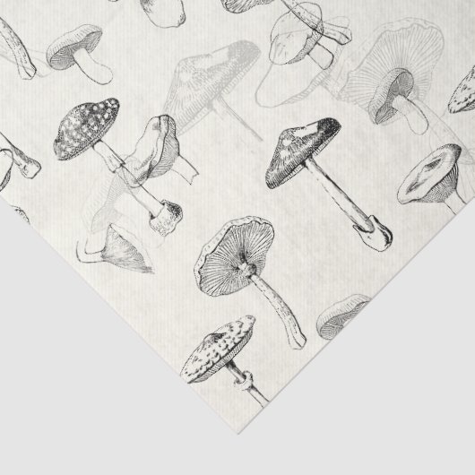 Botanisch Zwart Wit Paddenstoelenpatroon Tissuepapier (Detail)
