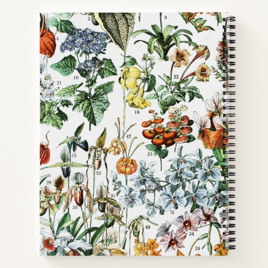  Botanische Aangepaste Naam Notitieboek (Achterkant)