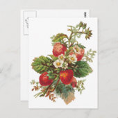botanische aardbeien briefkaart (Voorkant / Achterkant)