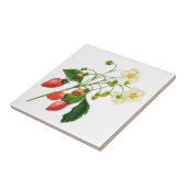 Botanische aardbeien Keramische tegel Tegeltje (Zijkant)