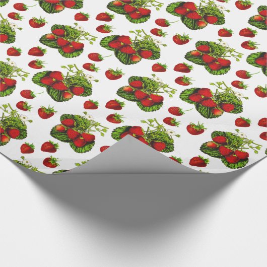 Botanische aardbeienillustratie Afdrukken op wit Cadeaupapier (Hoek)