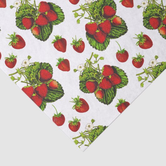 Botanische aardbeienillustratie Afdrukken op wit Tissuepapier (Detail)