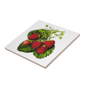 Botanische aardbeienillustratie op wit tegeltje (Zijkant)