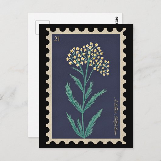  Botanische Achillea millefolium Flora Briefkaart (Voorkant / Achterkant)