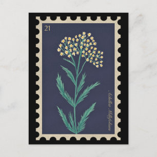 Botanische Achillea millefolium Flora Briefkaart
