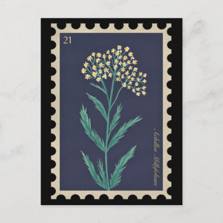  Botanische Achillea millefolium Flora Briefkaart