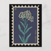  Botanische Achillea millefolium Flora Briefkaart (Voorkant)
