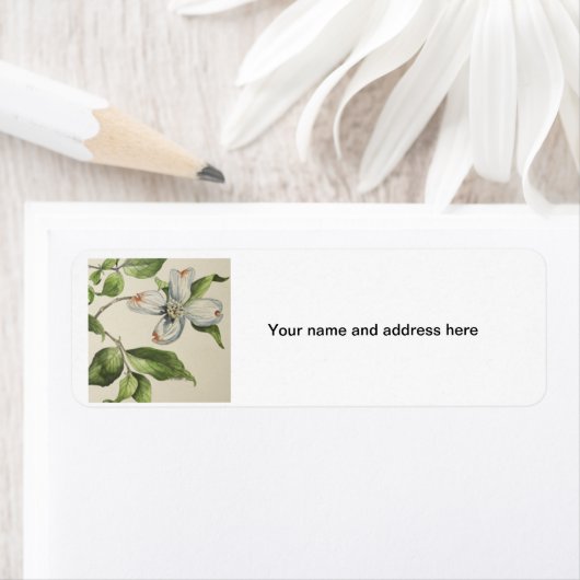 Botanische adresniveaus etiket (Insitu)