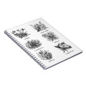 Botanische afbeeldingen notitieboek (Rechterzijde)