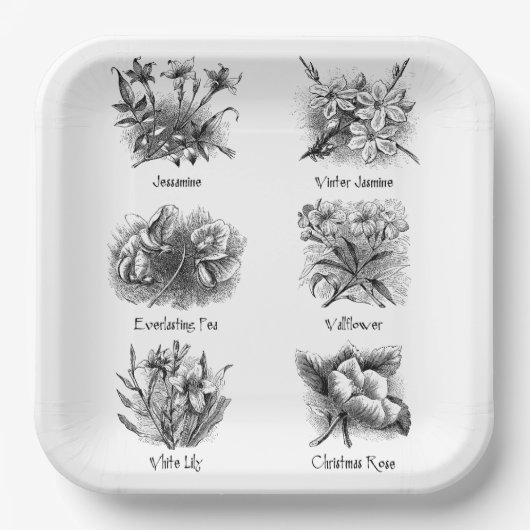 Botanische afbeeldingen papieren bordje (Voorkant)