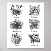 Botanische afbeeldingen poster (Voorkant)