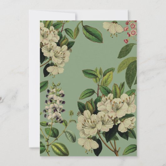 BOTANISCHE AFBEELDINGEN - SAGE KAART (Achterkant)