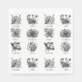 Botanische afbeeldingen servet (Voorkant)