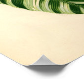 Botanische afdruk - Banaan (musa vittata) Poster (Hoek)