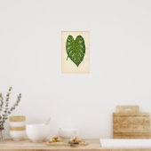 Botanische afdruk - Caladium Leaf Poster (Keuken)