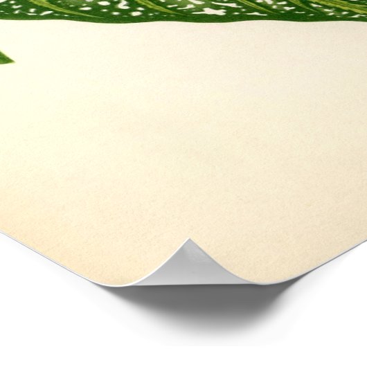 Botanische afdruk - Caladium Leaf Poster (Hoek)