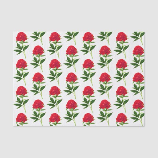 botanische afdruk, diepe rode pony tissuepapier (Voorkant)