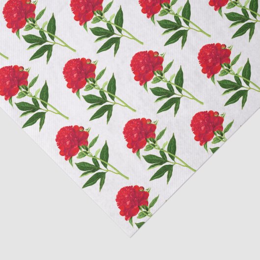 botanische afdruk, diepe rode pony tissuepapier (Detail)