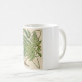 botanische afdruk - Ferns Koffiemok (Voorkant rechts)