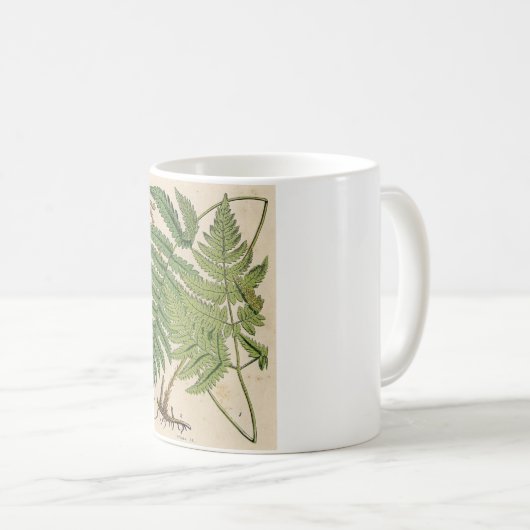  botanische afdruk - Ferns Koffiemok (Voorkant rechts)