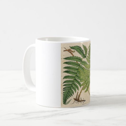  botanische afdruk - Ferns Koffiemok (Voorkant links)