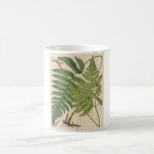 botanische afdruk - Ferns Koffiemok (Center)