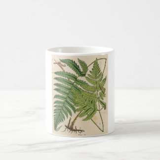 botanische afdruk - Ferns Koffiemok