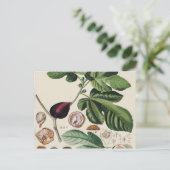 Botanische afdruk  figuren briefkaart (Staand voorkant)