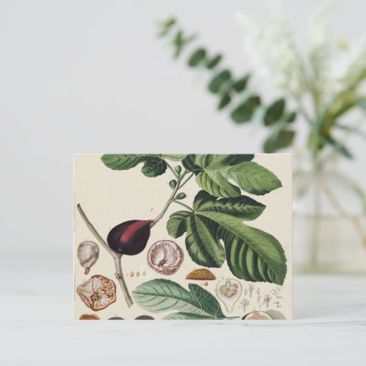 Botanische afdruk  figuren briefkaart (Staand voorkant)