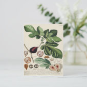 Botanische afdruk  figuren briefkaart (Staand voorkant)